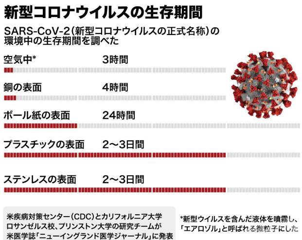  KPCはどれくらい生きますか？